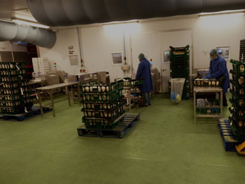 heavy duty resin flooring